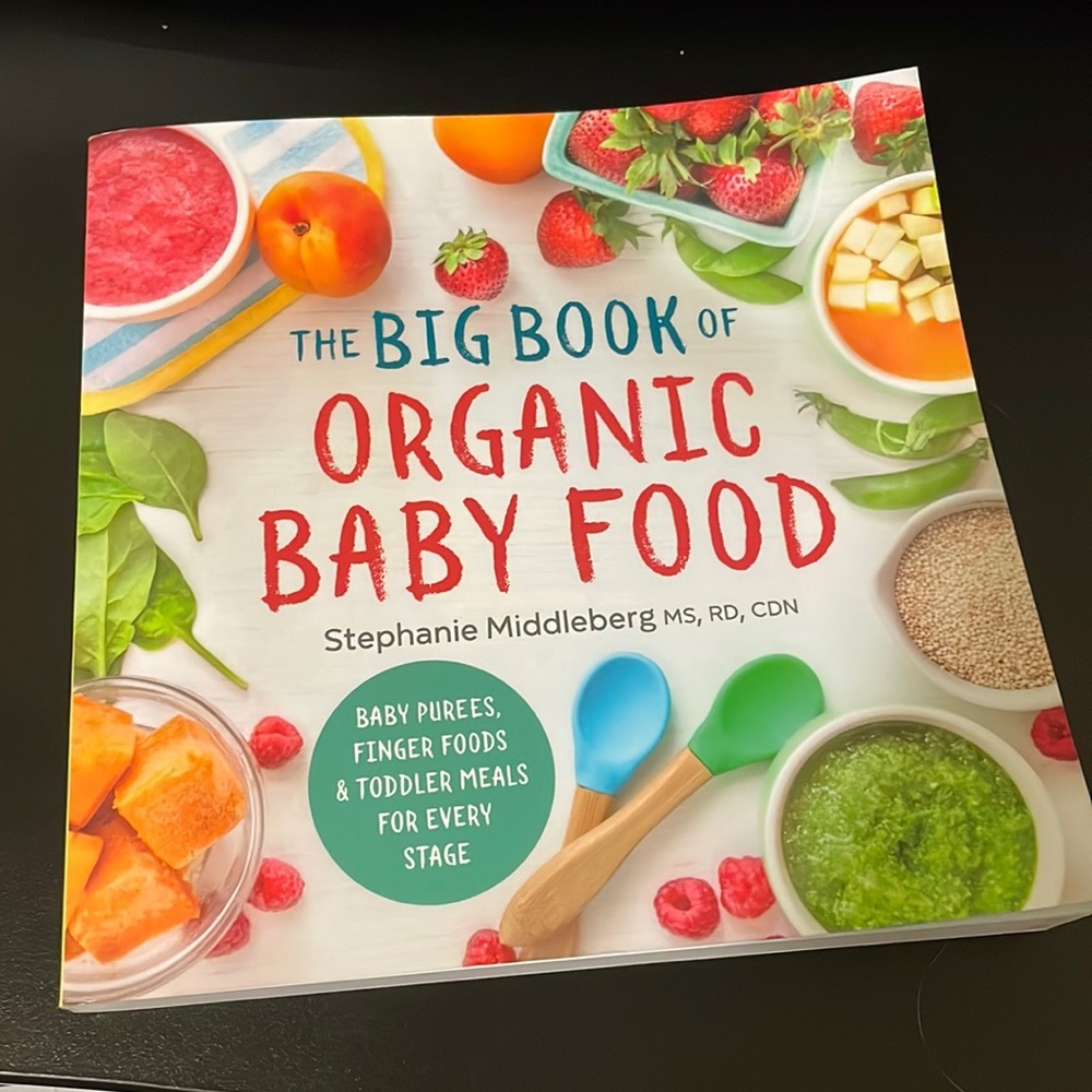 Book: The Big Book of Organic Baby Food